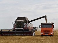 В этом году урожайность зерновых  в области одна из лучших за всю историю
