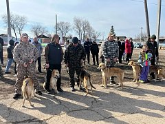 В Ершовском районе с успехом прошла выводка гончих собак