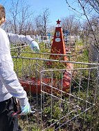 Молодое поколение хранит память предков: ершовские школьники облагородили могилы ветеранов ВОВ