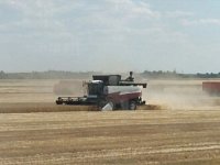 Уборочная страда: ершовские хлеборобы приближаются к финишу