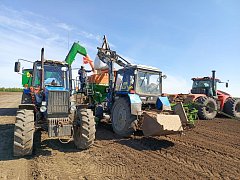 В Ершовском районе подвели итоги уборки ранних зерновых и сева озимых 2025 года