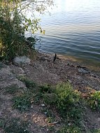 В Ершовском районе начали делать запас воды на осень-зиму