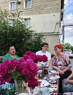 В Ершове объединились добрососедство и добровольчество