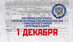 Управление ФНС России по Саратовской области проинформировало ершовцев о начале рассылки налоговых уведомлений по имущественным налогам