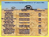 В Ершовском районе собрано уже почти 140 тысяч тонн зерновых и зернобобовых
