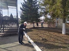 Весна начинается с чистоты: Ершов присоединился к общеобластному субботнику