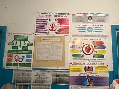 Для жительниц Ершовского района провели лекцию на важную тему женского здоровья