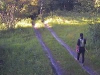 За лесами Саратовской области наблюдают фотоловушки