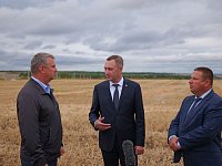 Глава региона отметил Ершовский район в числе лидеров уборочной кампании-2025