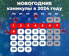 В новогодние праздники ершовцы будут отдыхать 10 дней