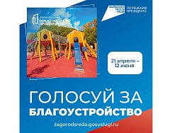 Голосуй за благоустройство