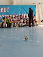 В Ершове прошел турнир по мини-футболу на призы ФОКа «Дельфин»