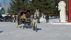 В ершовском селе «Масленицу провожали, тепло да солнце ожидали!»