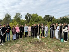 В школе Ершовского района состоялось мероприятие «Аллея памяти»