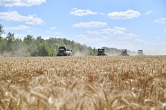 Ершовский район — по-прежнему в лидерах уборочной кампании