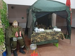 Ершовцев и гостей района ждут на уникальной выставке в РДК