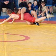 В Ершове завершился VIII межрайонный турнир по греко-римской борьбе, посвященный Году единства народов России