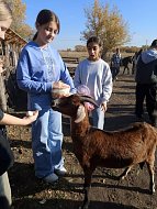 Ершовские школьники побывали в уникальном экопарке