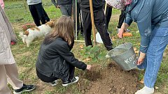 В школе Ершовского района состоялось мероприятие «Аллея памяти»