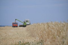 Аграрии Ершовского района продолжают уборочную кампанию