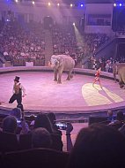 Третьеклассники ершовской школы совершили увлекательную поездку в Саратов