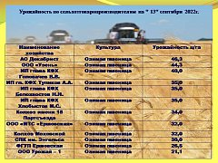 В Ершовском районе собрано более 260 тысяч тонн зерна нового урожая