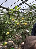 Третьеклассники ершовской школы совершили увлекательную поездку в Саратов