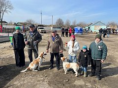 В Ершовском районе с успехом прошла выводка гончих собак