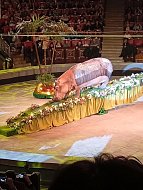 Дети участников СВО из Ершова посетили новогоднее цирковое представление в Саратове