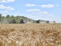 Ершовский район — по-прежнему в лидерах уборочной кампании