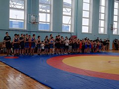 В Ершове прошло первенство спортивной школы по греко‑римской борьбе