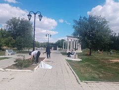 В ершовском парке прошла «санитарная пятница»