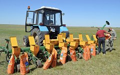 Ершовские сельхозпредприятия перевыполняют план по севу