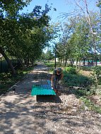 В ершовском парке Пушкина продолжаются работы по благоустройству