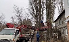 В Ершове проводят плановую опиловку и вывоз аварийных деревьев