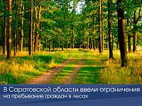 В Саратовской области ввели ограничения на пребывание граждан в лесах