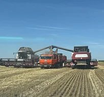 В Ершовском районе продолжается уборочная кампания 2025