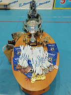 В Ершове  прошел турнир на призы ФОКа «Дельфин», посвященный Всемирному дню футбола