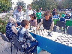 В Ершове прошел первый общегородской турнир по шашкам