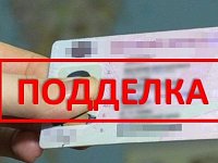 В Ершове выявлен автомобилист с поддельным водительским удостоверением