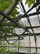 Третьеклассники ершовской школы совершили увлекательную поездку в Саратов