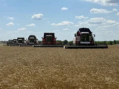 В Ершовском районе продолжается уборочная кампания 2025