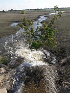 В Ершовском районе закачка воды в пруды сельских поселений близится к завершению