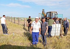 В ершовском селе уже много лет существует добрая традиция – проводить субботники на местном кладбище