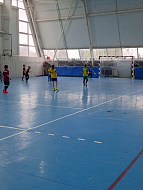 Турнир по мини-футболу ко Дню народного единства прошел в ФОК «Дельфин»