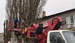 В Ершове проводят плановую опиловку и вывоз аварийных деревьев
