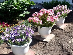 Погода в Ершове сегодня «капризничает»