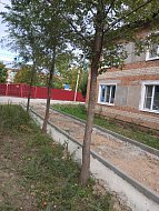 Ершовцев радует благоустройство пешеходных зон в городе