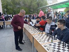 В парке состоялось совместное мероприятие - концерт артистов ДШИ и сеанс одновременной игры в шахматы