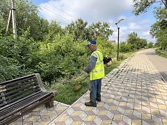 В Ершове МКУ "Благоустройство" продолжает систематическую работу по поддержанию чистоты и порядка